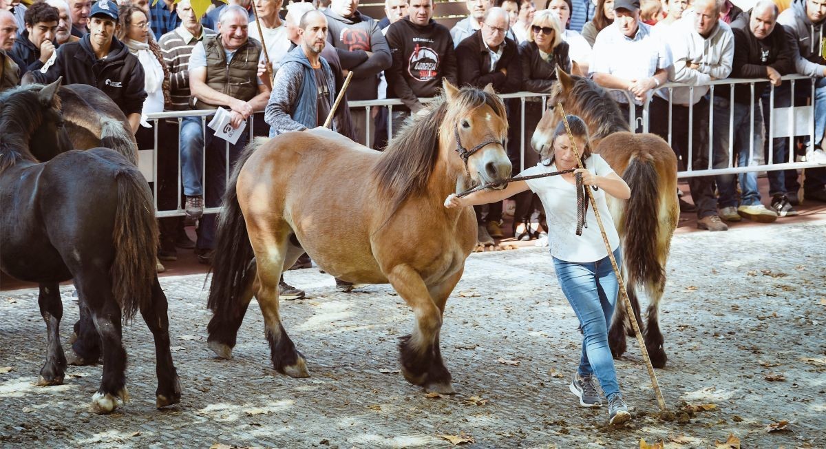 631. azokak jaietan murgilduko du Agurain