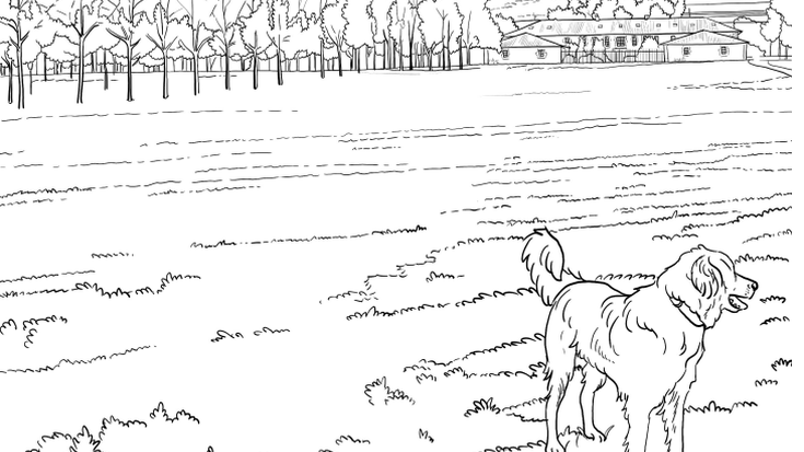 Gasteizko txokoak "koloreztatzeko" liburua kaleratu dute