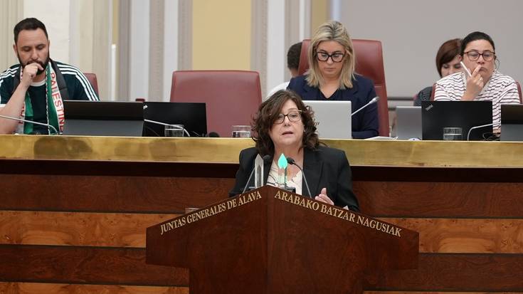 Ogasunaren ikuskapenak 77 milioi euro azaleratu ditu