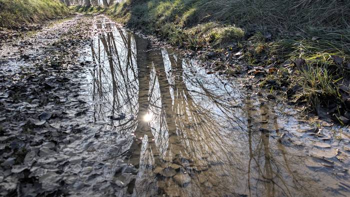 Eusteko moduan dago, momentuz