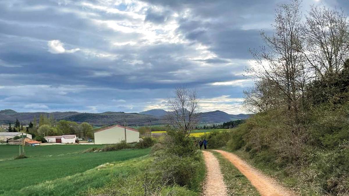 Mandazainen bide zaharretik