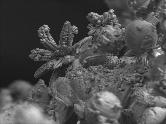 Gabonak udaran: Harvardeko laborategi batetik ikusitako izar hotzak