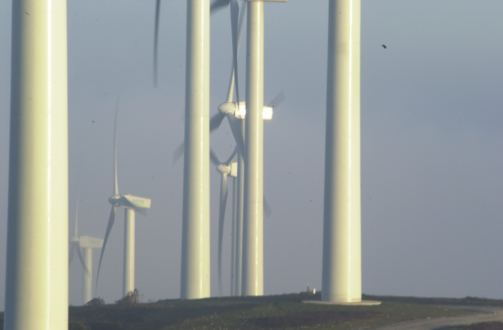 Labrazan eta Iturrietako Mendietan berpiztu nahi dute EAEko plan eolikoa