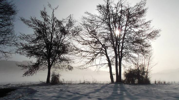 Ez ba, ez du guztiz joan nahi