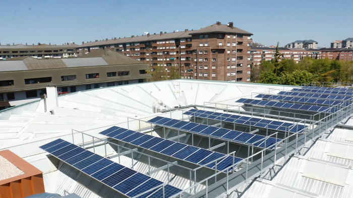 Berriztagarriak jartzeko, 1.300 hektarea hutsik