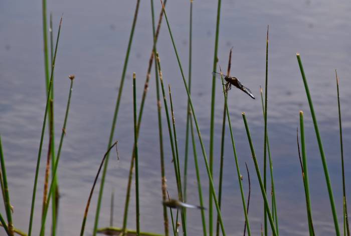 Mendi irteera gidatua Kintana-Urturi-Kintana