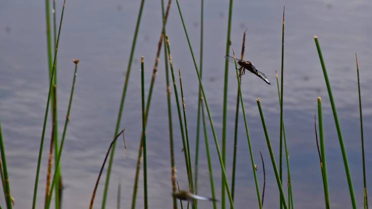Mendi irteera gidatua Kintana-Urturi-Kintana