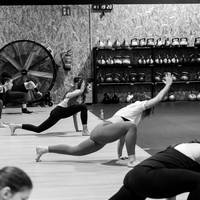 Gauekoak | Animal flow