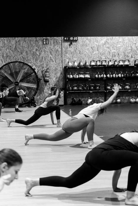 Gauekoak | Animal flow