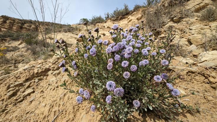 Giro hodeitsu eta haizetsua