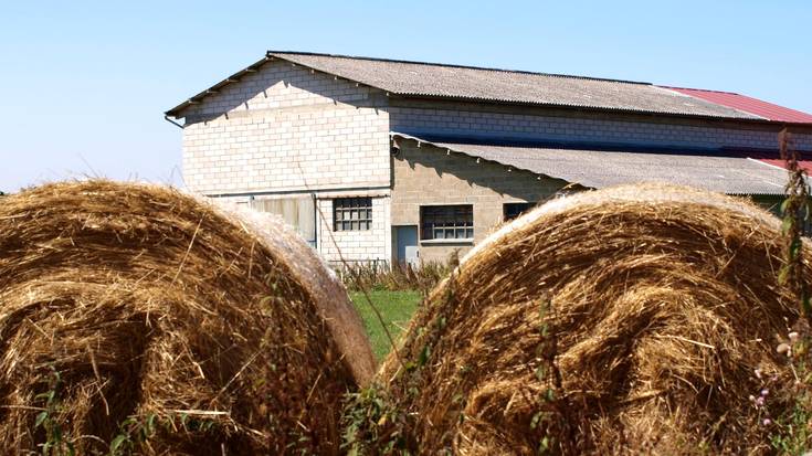 EAEn labore ekologikoei bideratutako lurren %55 du Arabak