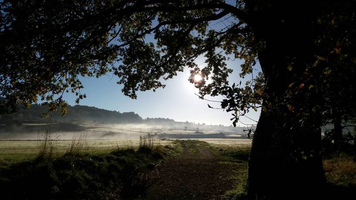 Argazki lehiaketa antolatu du Gorbeialdeak