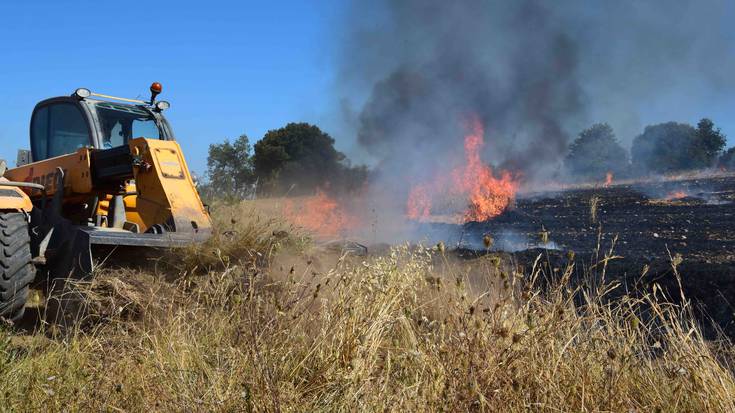 Aldi baterako debekatu dute sua erabiltzea