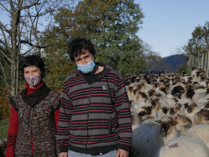 Latxa artilea, moda diseinutik gero eta gertuago