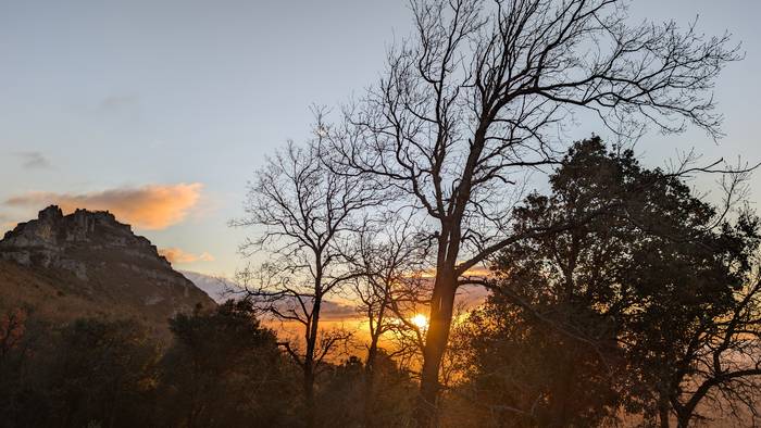 Maximoak, are maximoagoak