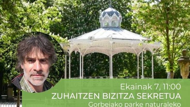 Zuhaitzen bizitza sekretua