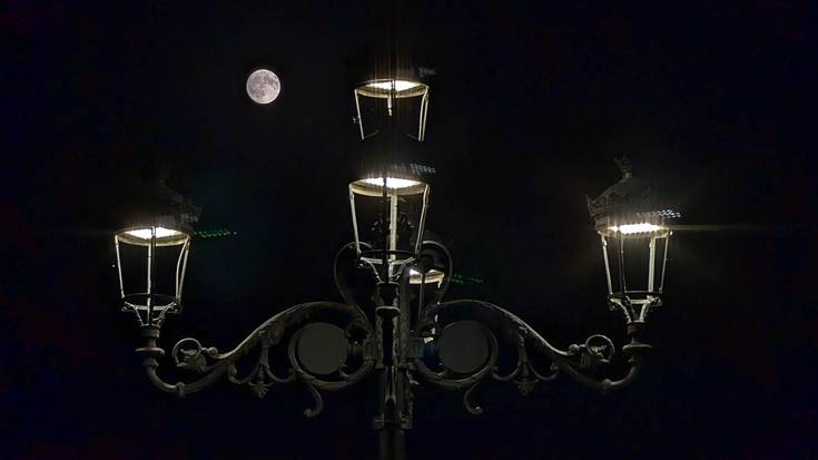 Berriz ere gardendu nahi du