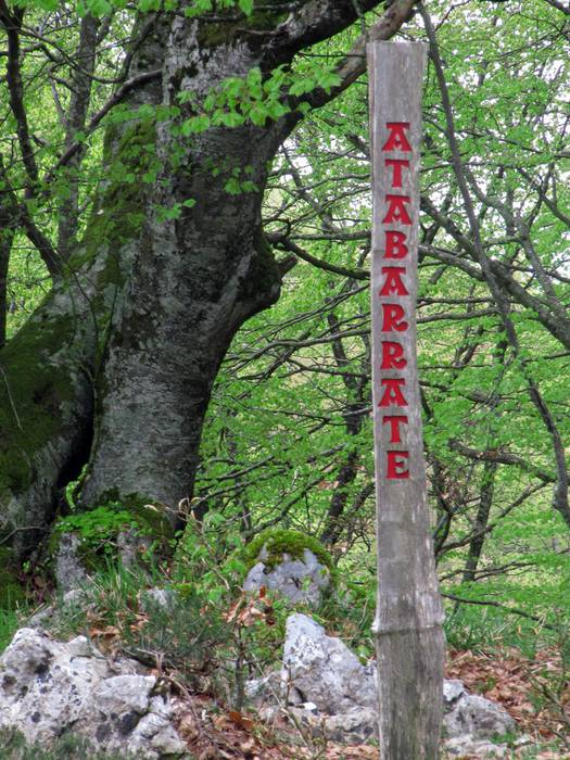 [HAURRENTZAKO MENDI IRTEERA] Atabarratera