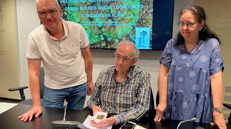 'Sphaerocarpos ibericus' espezie berria deskribatu dute Araban