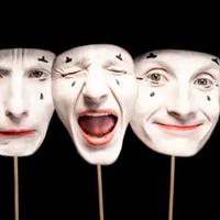 HEI GIZARTE-GAITASUNAK. Emozioen jakinduria