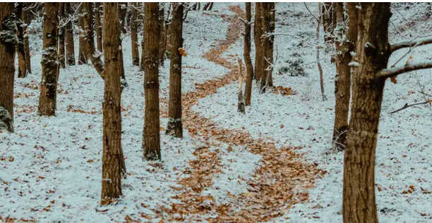 'Mendi ertaineko irteera seguruak neguan'