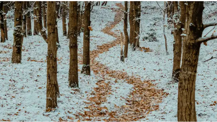 'Mendi ertaineko irteera seguruak neguan'