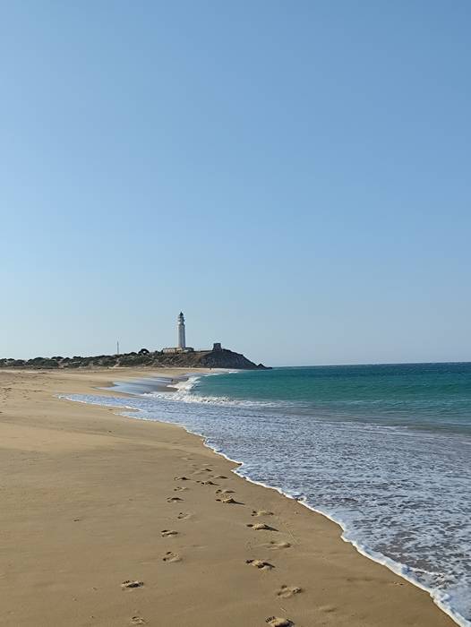 Uda eta itsasoa dira sendabiderik onenak