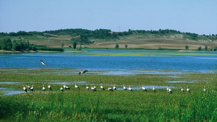 Hegaztien udako hitzordura  