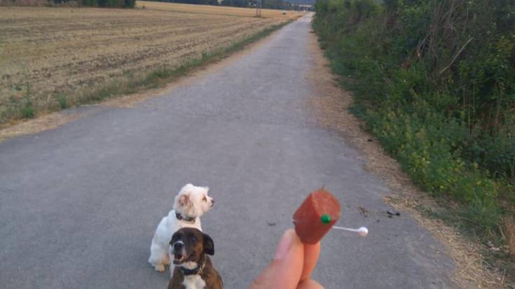 Orratzez betetako saltxitxak agertu direla ohartarazi du Apasosek