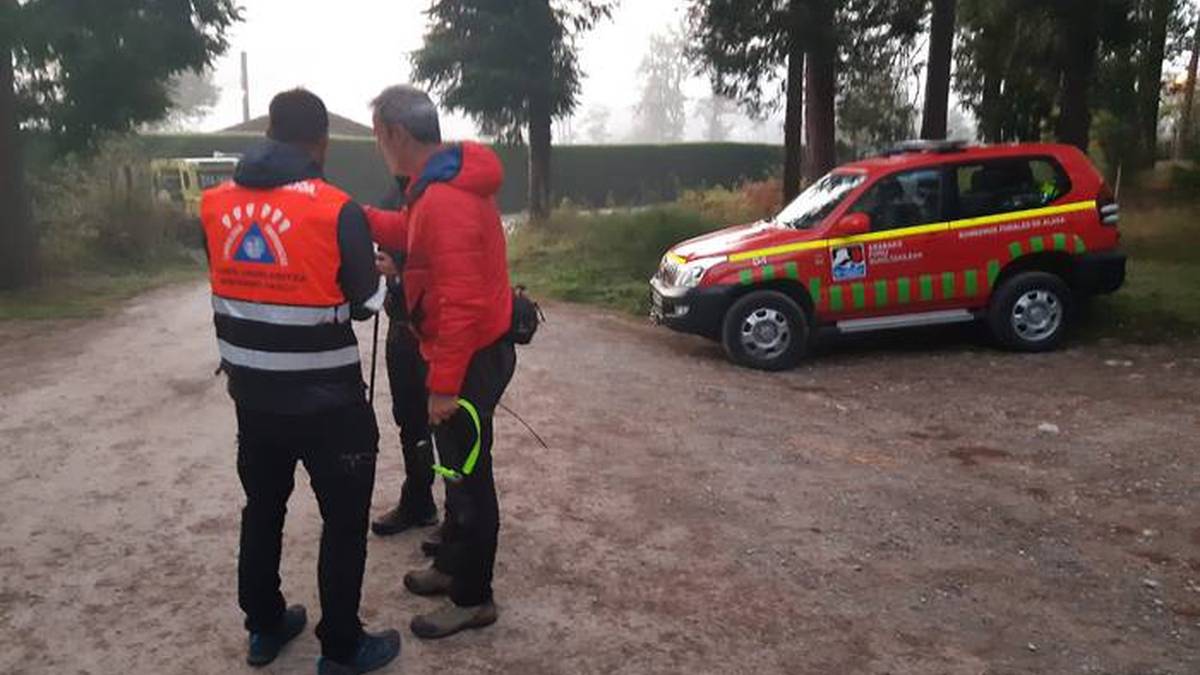 Laudioar baten gorpua aurkitu dute Lezeagabiden