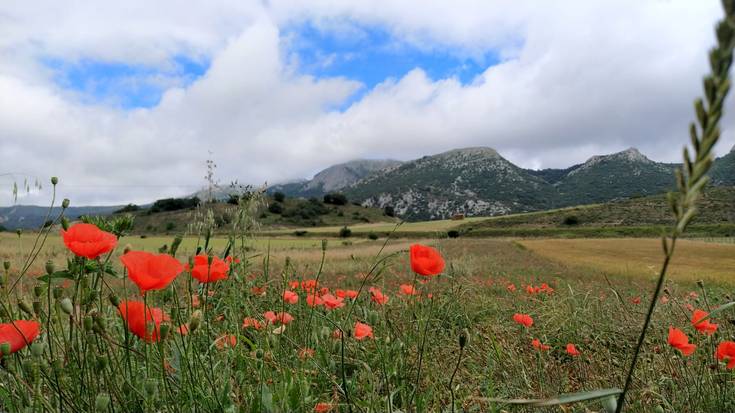 Beroa, baina jasateko modukoa
