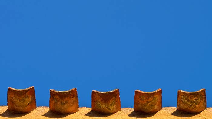 Zeru gardenak, batez ere goizean