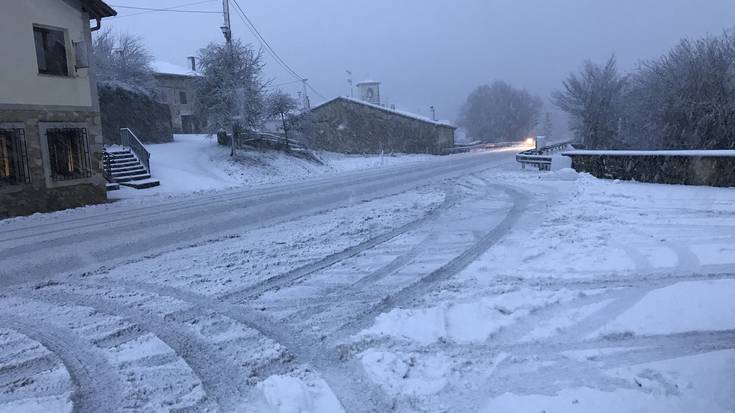 Bazterrak zuritu ditu elurrak