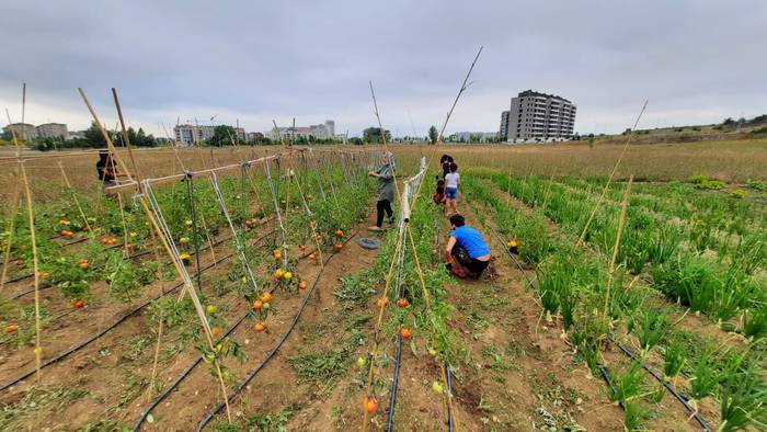 Tira: elikadura eta etxebizitza egitura komunitarioen aldeko jaialdia