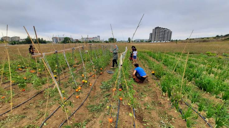 Tira: elikadura eta etxebizitza egitura komunitarioen aldeko jaialdia