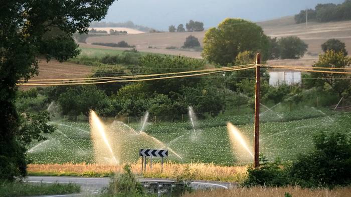 Fresko eta partez estalita