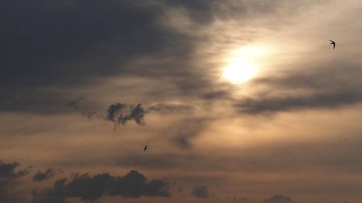 Hodeitza, joan-etorrian