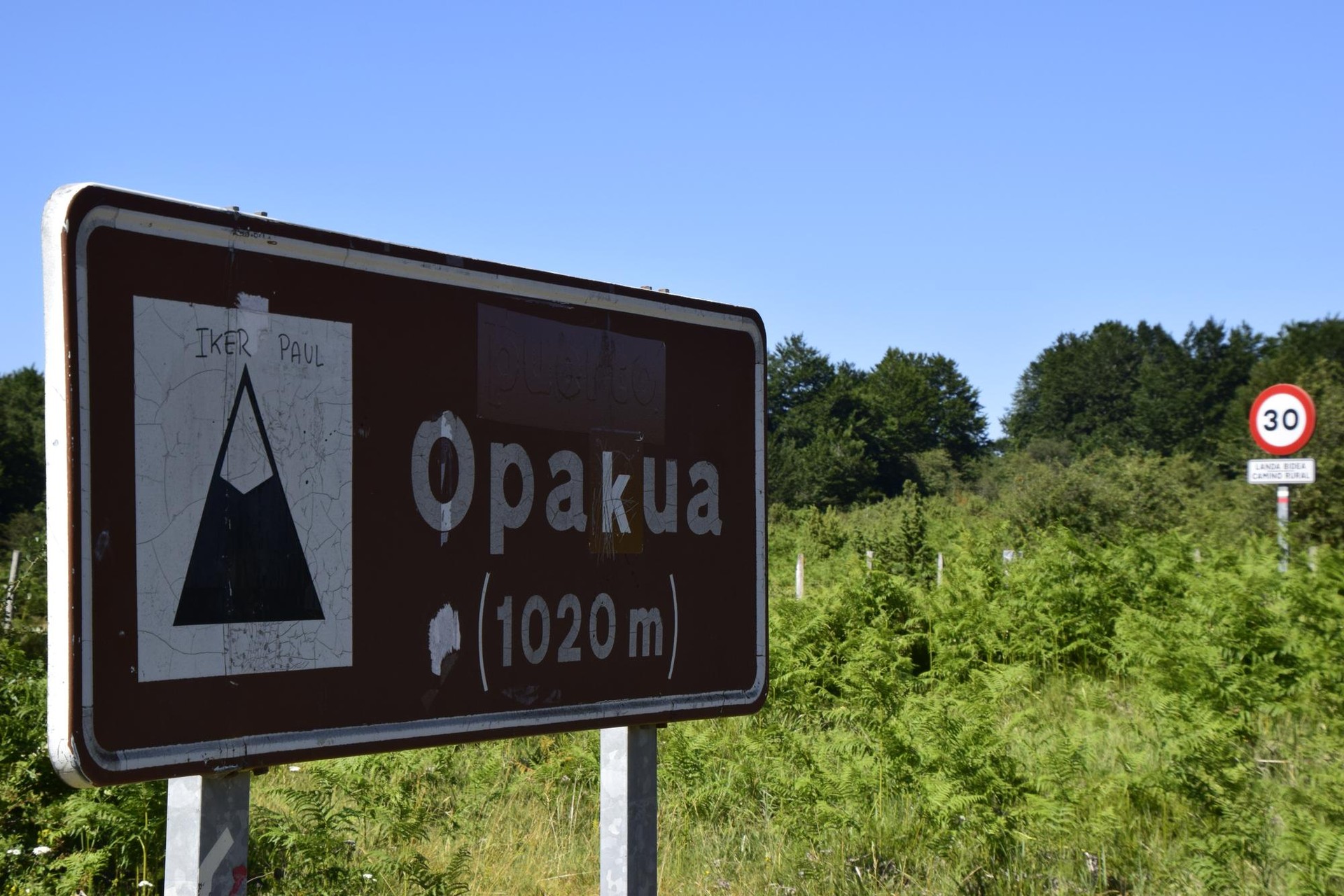 Lautadak Mendialdeari begira