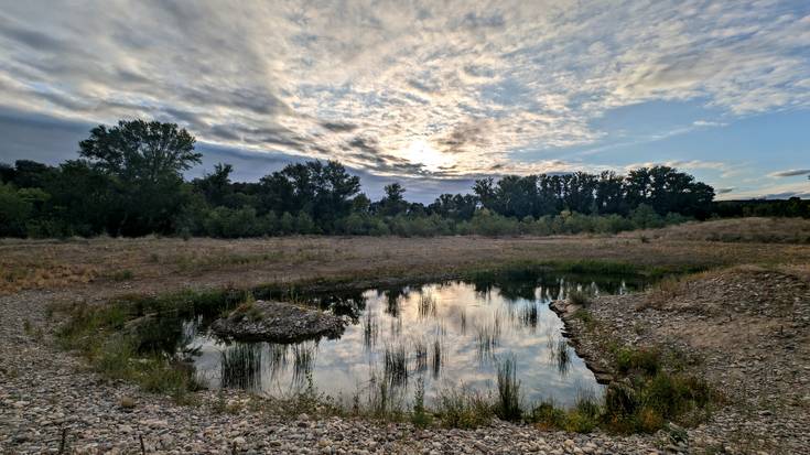 Oasiek ez dute zertan beti naturalak izan