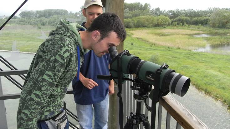 Natur ibilbidea: Hegaztien behaketa Salburuan