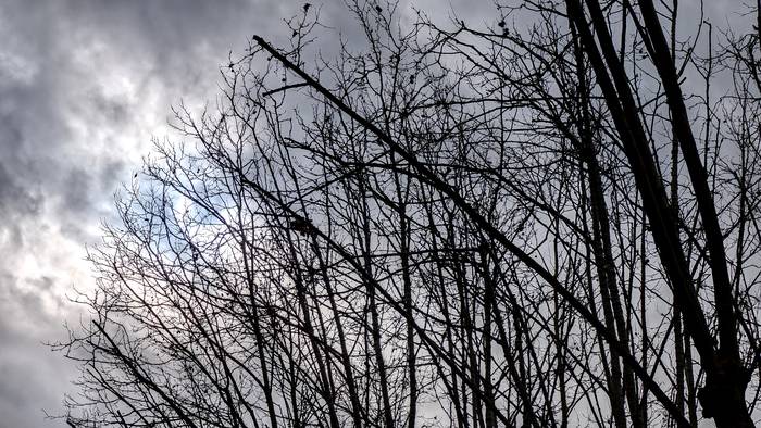 Ostarteak, bai eta zaparradak ere