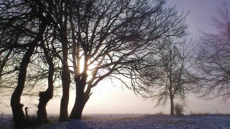 Asteburuan elurra omen dator