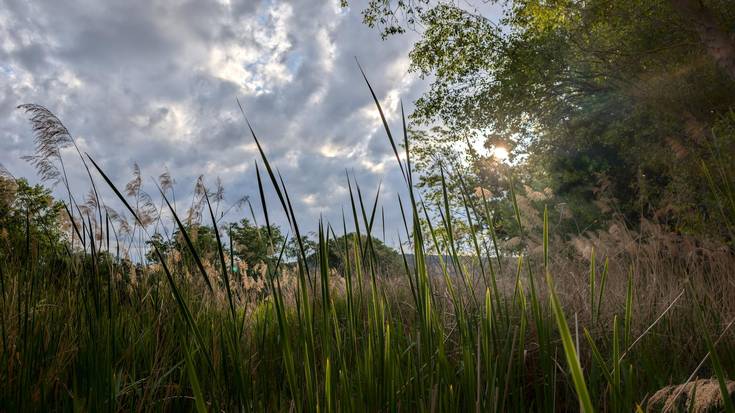 Zaparradak asteburuan