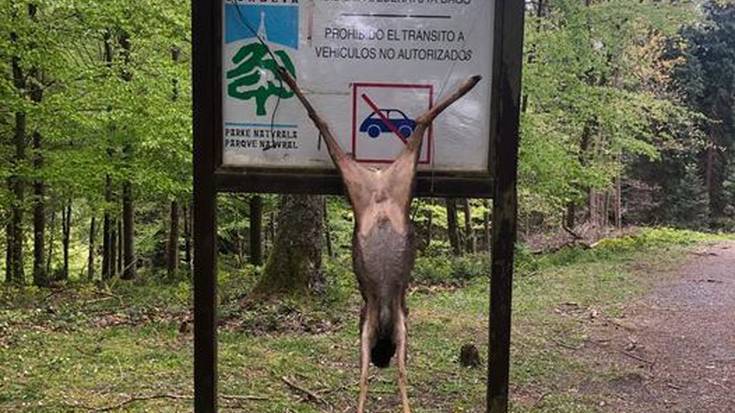 Gorbeiako ezkutuko ehiztarien kontra neurriak eskatu ditu Eguzkik