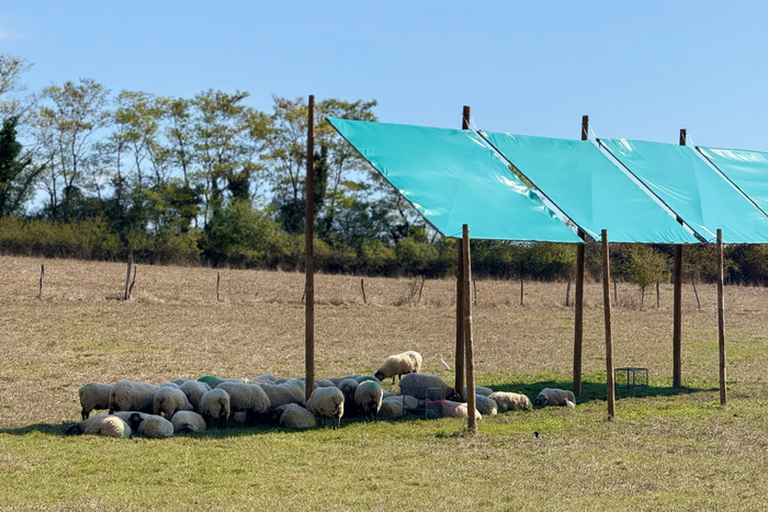 Eguzki panelek artaldeetan duten eragina aztertu dute