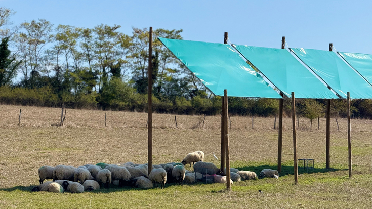 Eguzki panelek artaldeetan duten eragina aztertu dute