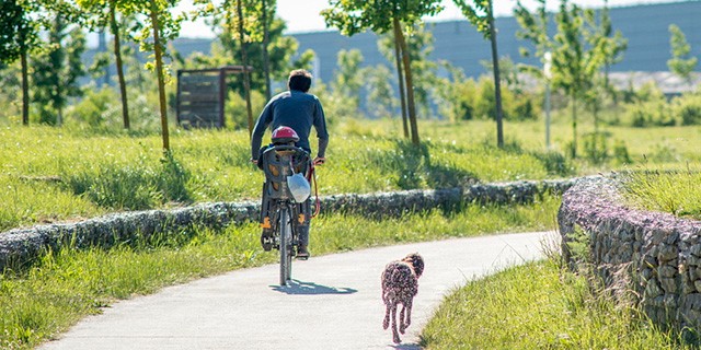 Gogoz hartu dute herritarrek kalera irtetzeko aukera