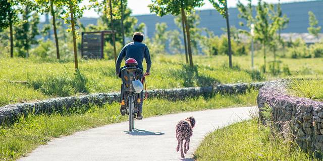 Gogoz hartu dute herritarrek kalera irtetzeko aukera