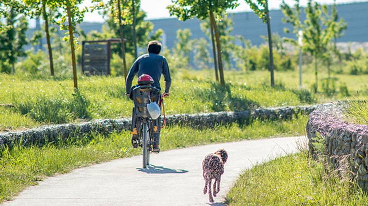 Gogoz hartu dute herritarrek kalera irtetzeko aukera