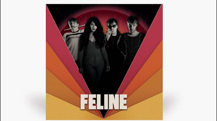 Feline